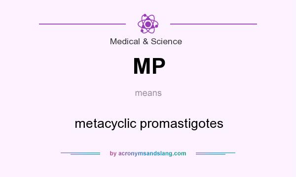 What does MP mean? It stands for metacyclic promastigotes