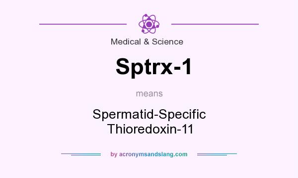 What does Sptrx-1 mean? It stands for Spermatid-Specific Thioredoxin-11