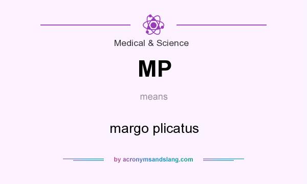 What does MP mean? It stands for margo plicatus