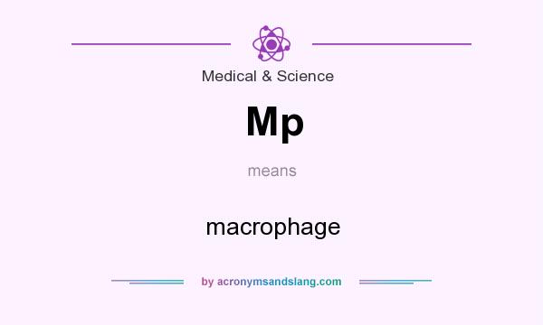What does Mp mean? It stands for macrophage