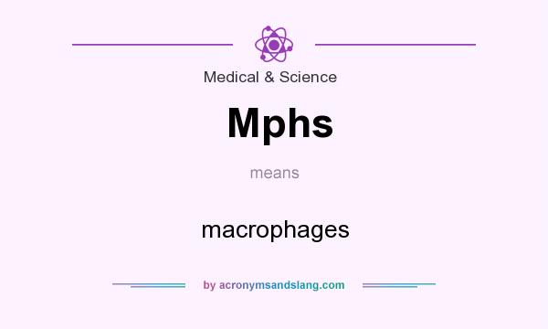 What does Mphs mean? It stands for macrophages