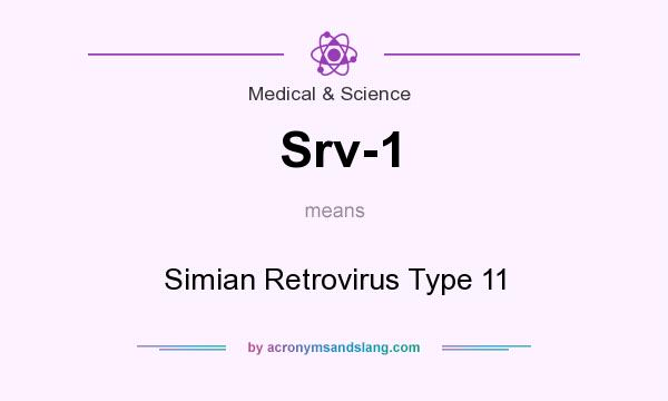 What does Srv-1 mean? It stands for Simian Retrovirus Type 11