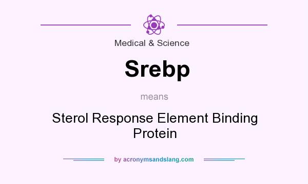 What does Srebp mean? It stands for Sterol Response Element Binding Protein