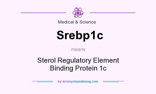 What does Srebp1c mean? It stands for Sterol Regulatory Element Binding Protein 1c
