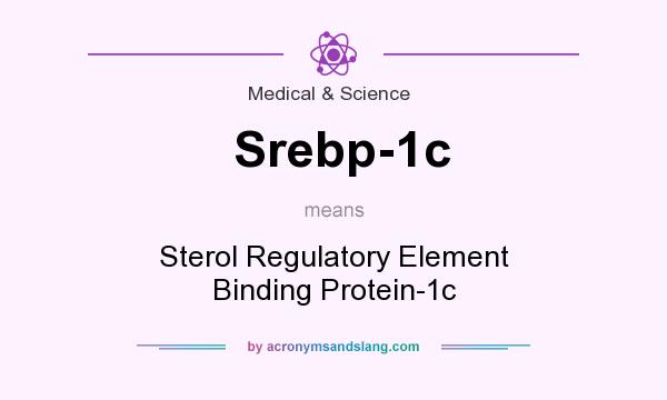 What does Srebp-1c mean? It stands for Sterol Regulatory Element Binding Protein-1c