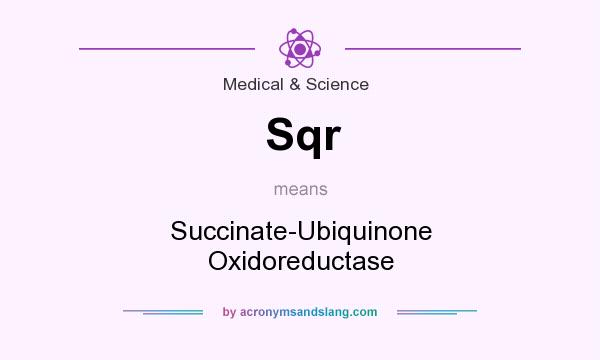 What does Sqr mean? It stands for Succinate-Ubiquinone Oxidoreductase