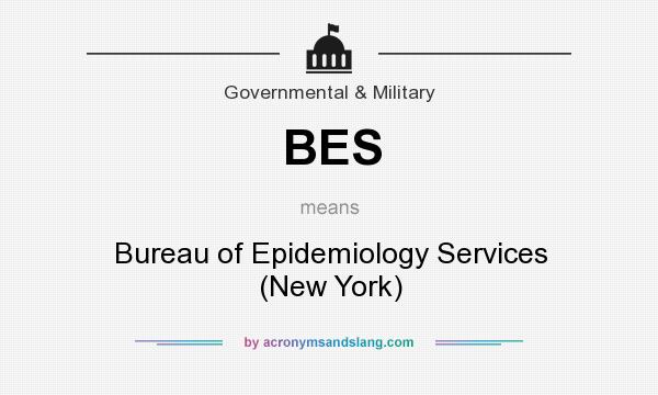 What does BES mean? It stands for Bureau of Epidemiology Services (New York)