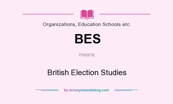 What does BES mean? It stands for British Election Studies