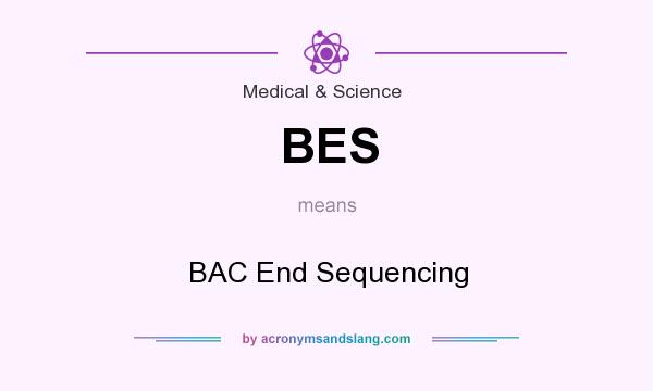 What does BES mean? It stands for BAC End Sequencing