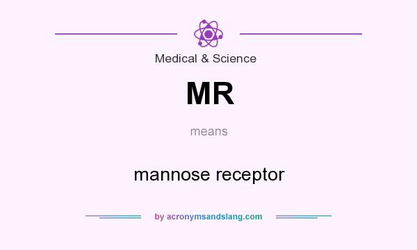 What does MR mean? It stands for mannose receptor