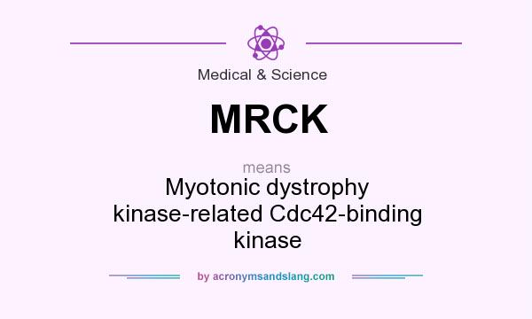 What does MRCK mean? It stands for Myotonic dystrophy kinase-related Cdc42-binding kinase