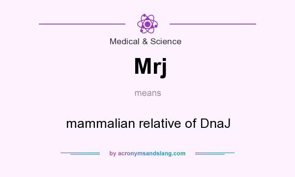 What does Mrj mean? It stands for mammalian relative of DnaJ
