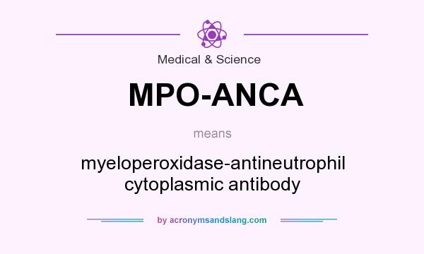 What does MPO-ANCA mean? It stands for myeloperoxidase-antineutrophil cytoplasmic antibody