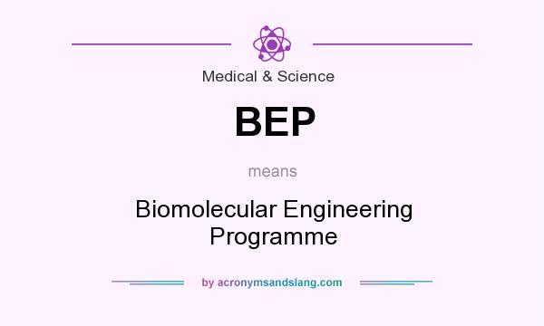 What does BEP mean? It stands for Biomolecular Engineering Programme