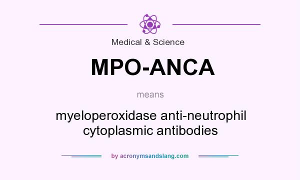 What does MPO-ANCA mean? It stands for myeloperoxidase anti-neutrophil cytoplasmic antibodies