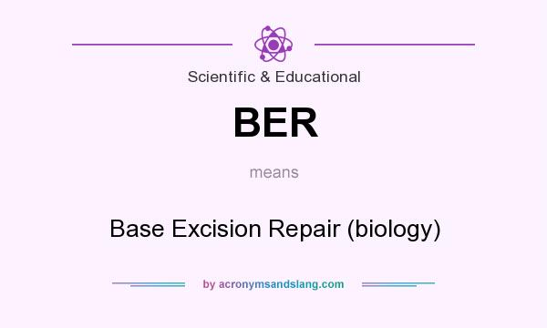 What does BER mean? It stands for Base Excision Repair (biology)