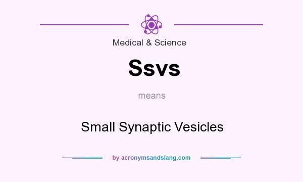 What does Ssvs mean? It stands for Small Synaptic Vesicles