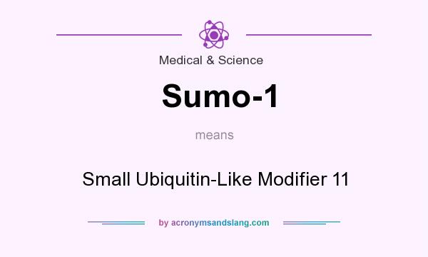 What does Sumo-1 mean? It stands for Small Ubiquitin-Like Modifier 11