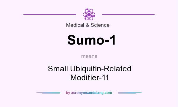 What does Sumo-1 mean? It stands for Small Ubiquitin-Related Modifier-11