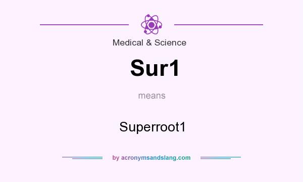 What does Sur1 mean? It stands for Superroot1