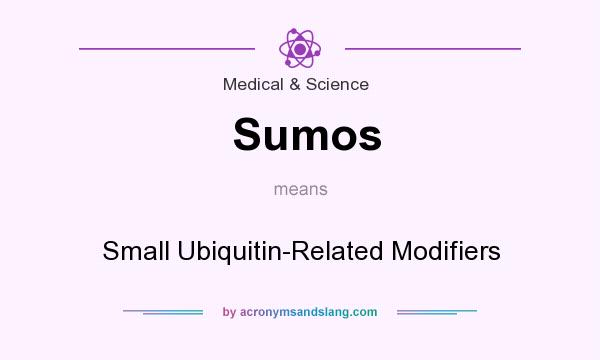 What does Sumos mean? It stands for Small Ubiquitin-Related Modifiers