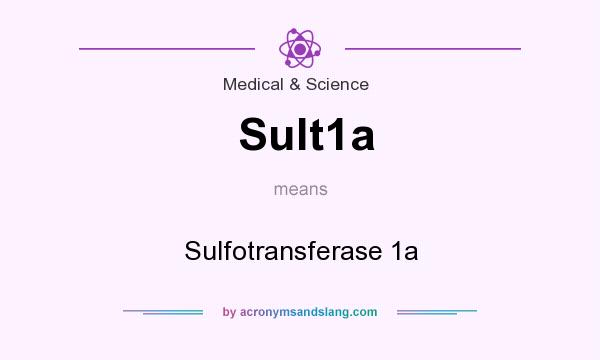 What does Sult1a mean? It stands for Sulfotransferase 1a