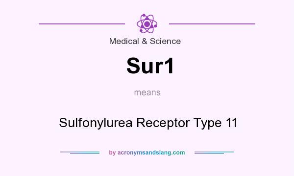 What does Sur1 mean? It stands for Sulfonylurea Receptor Type 11