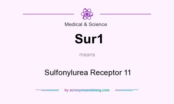 What does Sur1 mean? It stands for Sulfonylurea Receptor 11