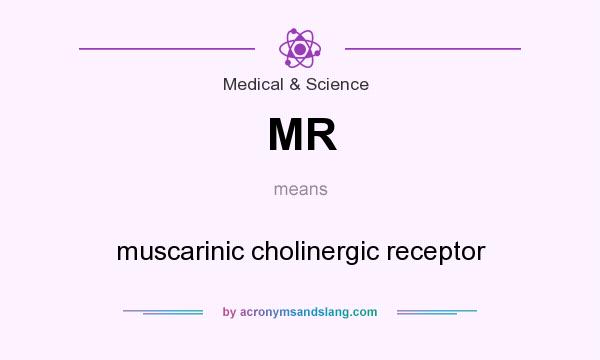 What does MR mean? It stands for muscarinic cholinergic receptor
