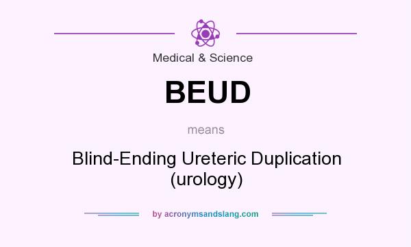 What does BEUD mean? It stands for Blind-Ending Ureteric Duplication (urology)