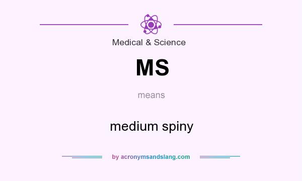 What does MS mean? It stands for medium spiny