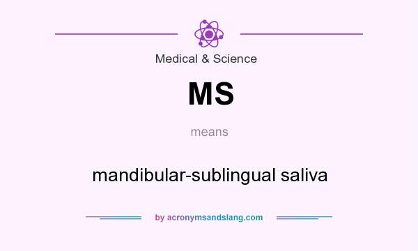 What does MS mean? It stands for mandibular-sublingual saliva