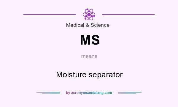 What does MS mean? It stands for Moisture separator