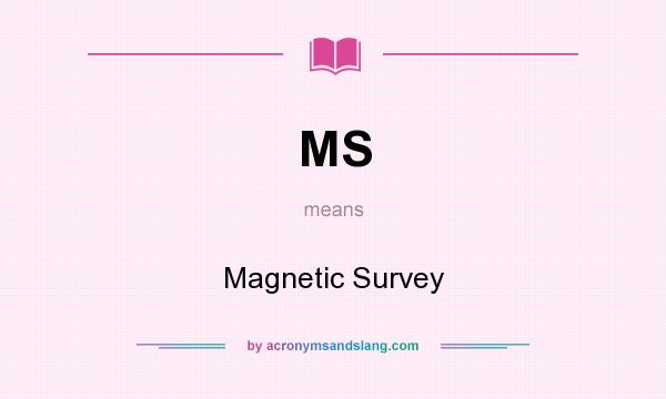What does MS mean? It stands for Magnetic Survey