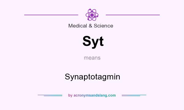 What does Syt mean? It stands for Synaptotagmin