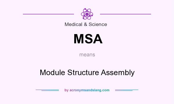 What does MSA mean? It stands for Module Structure Assembly
