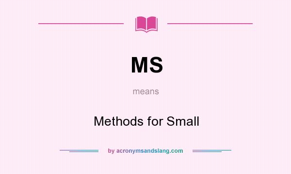 What does MS mean? It stands for Methods for Small