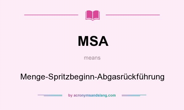 What does MSA mean? It stands for Menge-Spritzbeginn-Abgasrückführung