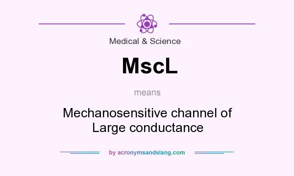 What does MscL mean? It stands for Mechanosensitive channel of Large conductance