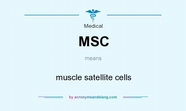 What does MSC mean? It stands for muscle satellite cells