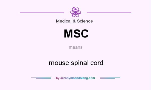 What does MSC mean? It stands for mouse spinal cord