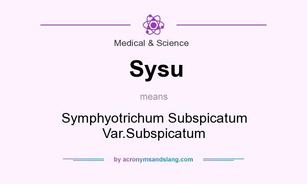 What does Sysu mean? It stands for Symphyotrichum Subspicatum Var.Subspicatum