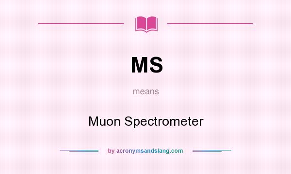 What does MS mean? It stands for Muon Spectrometer