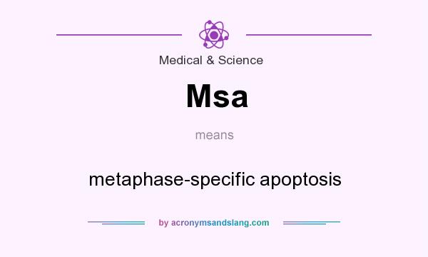 What does Msa mean? It stands for metaphase-specific apoptosis