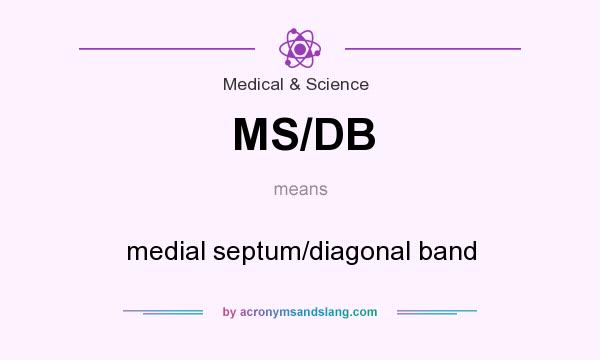 What does MS/DB mean? It stands for medial septum/diagonal band