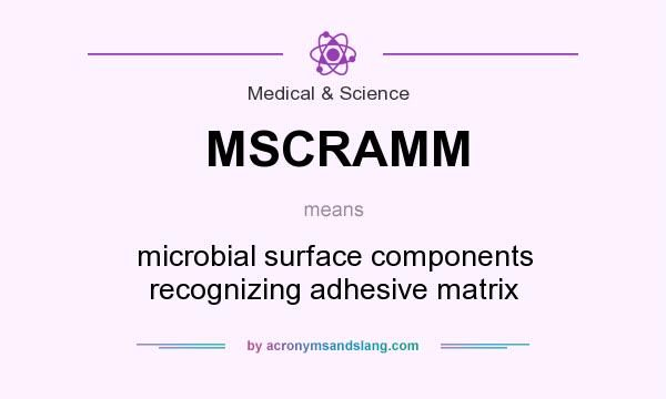 What does MSCRAMM mean? It stands for microbial surface components recognizing adhesive matrix
