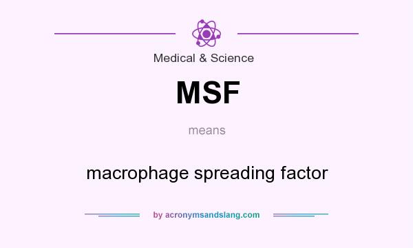 What does MSF mean? It stands for macrophage spreading factor