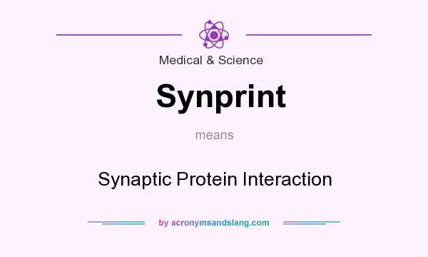 What does Synprint mean? It stands for Synaptic Protein Interaction
