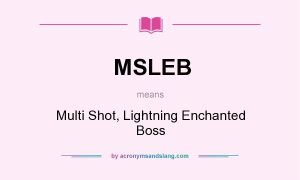 What does MSLEB mean? It stands for Multi Shot, Lightning Enchanted Boss