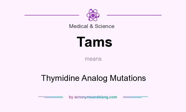 What does Tams mean? It stands for Thymidine Analog Mutations
